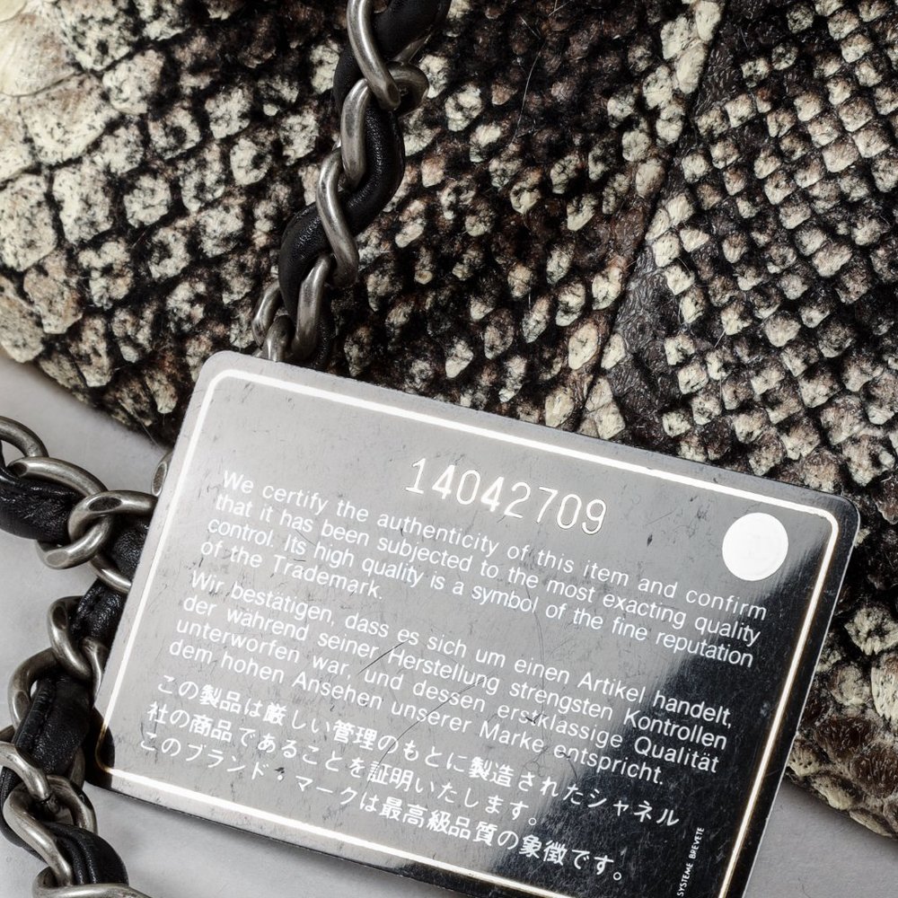 Chanel Wooled Python Large Zip Tote - Picture 6 of 14
